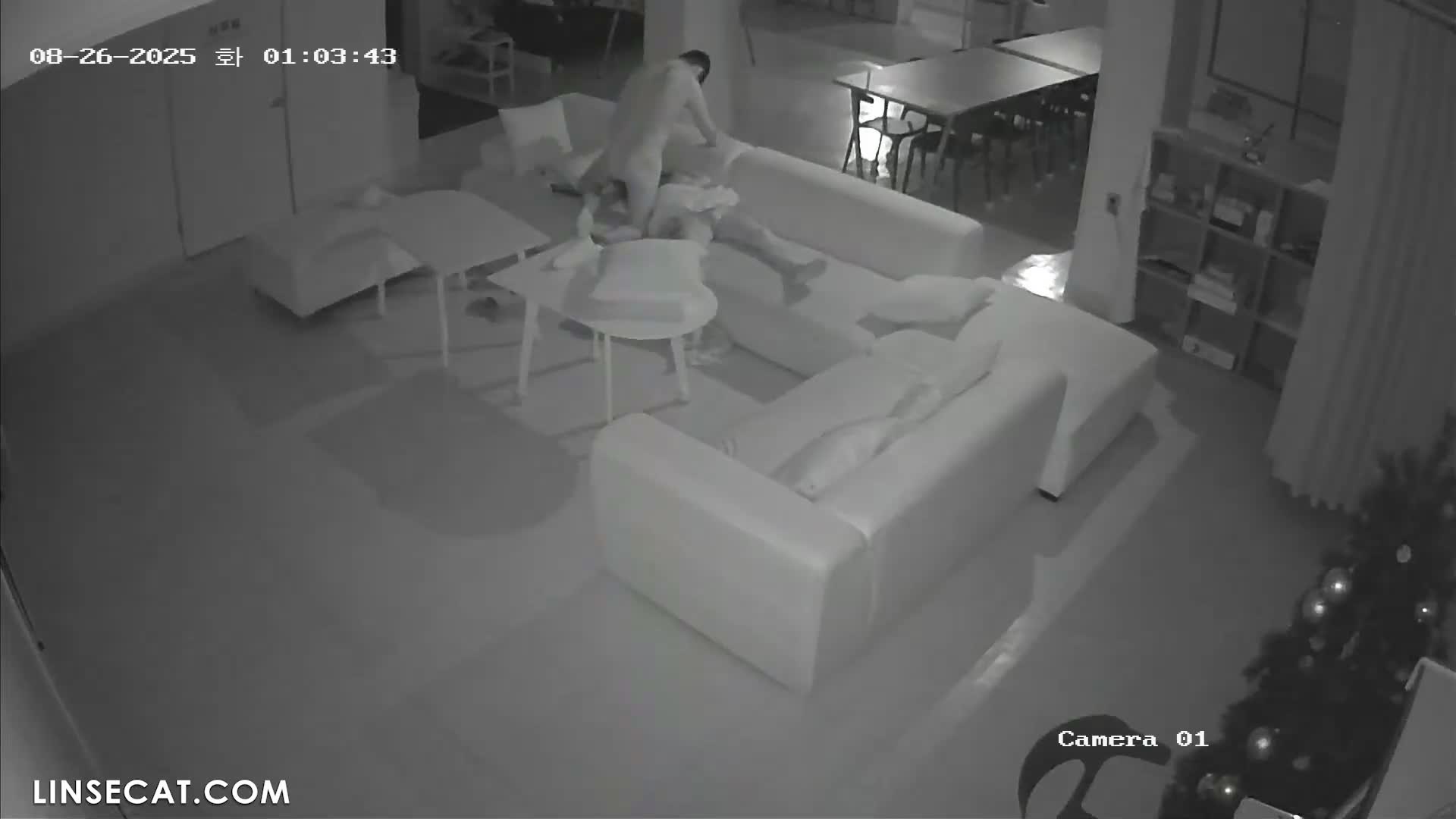[신작] 플레이보이는 또다시 아름다운 여성과 데이트를 했습니다. 그는 하룻밤에 세 번이나 그녀와 성관계를 가졌습니다. 그녀는 완전히 지쳐 있었고, 아침에 계단을 오르다가 거의 넘어질 뻔했습니다. [해킹된 한국 IP 카메라] [단독 영상] 썸네일